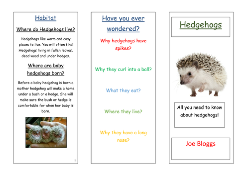 Hedgehog information leaflet