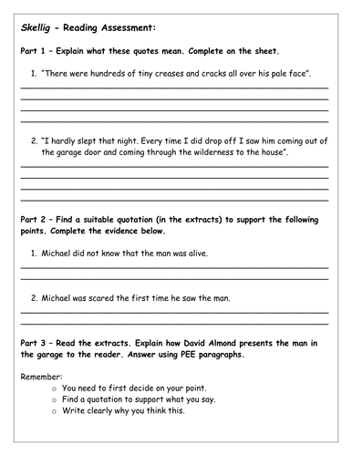 Reading Assessment for 'Skellig' (PEE based)