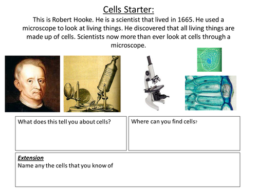 Animal and Plant Cells