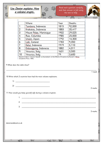 Year 4 reading comprehension assessment picture