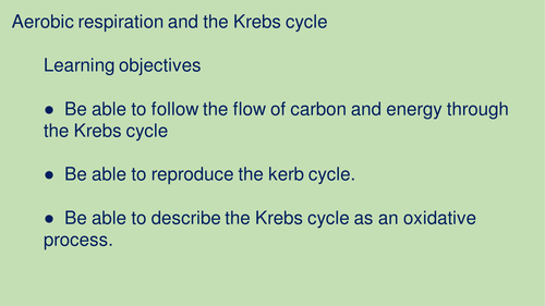 Overview of the Krebs cycle