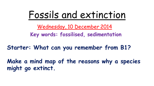 Fossils and extinction