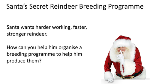 Christmas Inheritance