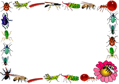 Insects Themed Lined Paper and Pageborders