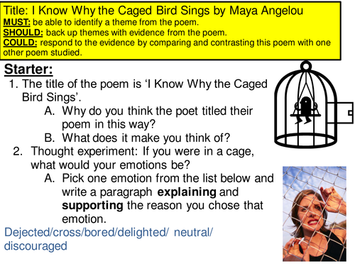 I Know Why The Caged Bird Sings Poetry Analysis - PetsWall