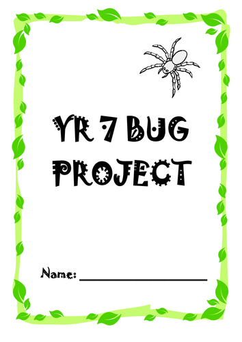 Bug Project & Sewing Skills