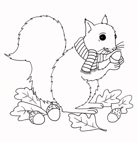 Fall - Squirrel Coloring Page