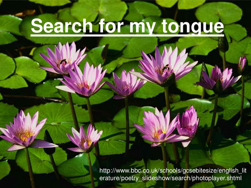 "Search for my tongue" by Sujata Bhatt