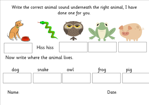 Animal sounds | Teaching Resources