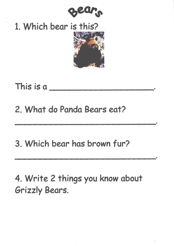 Bear Comprehension