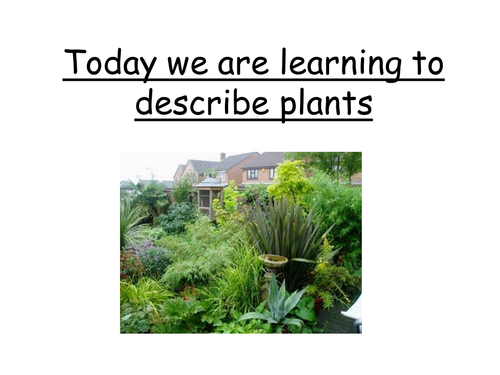 Describing Plants - using adjectives | Teaching Resources