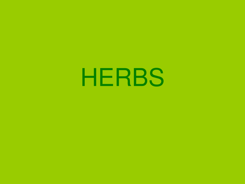 Herbs PowerPoint
