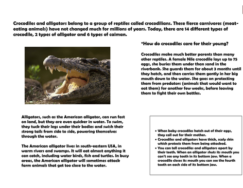 Explanation Text Pictures by Sara_S - Teaching Resources - TES