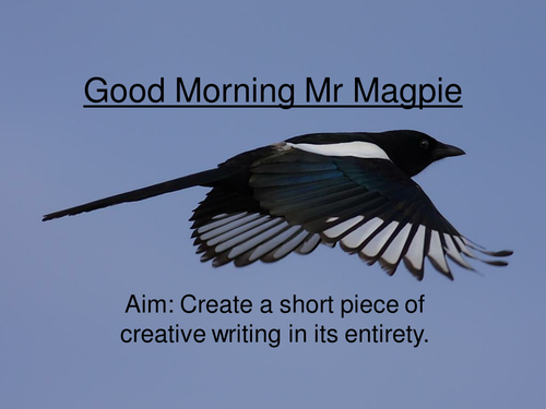 Skellig Magpie Creative Writing