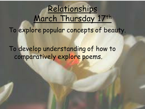 Ideals of beauty: Comparing Sonnet