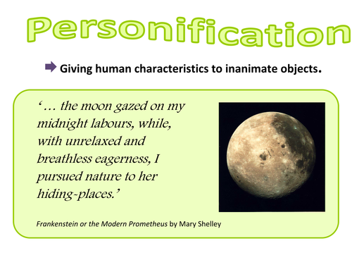 Classroom Literary Techniques Posters