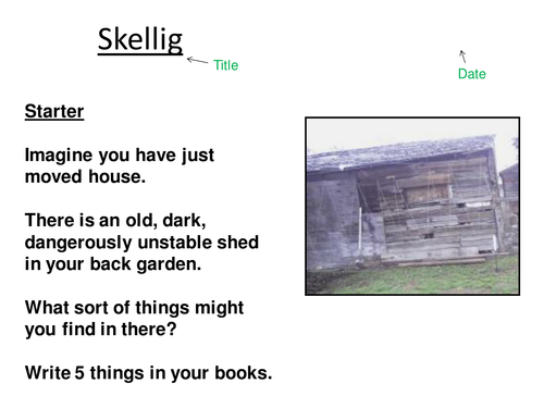 Skellig by David Almond