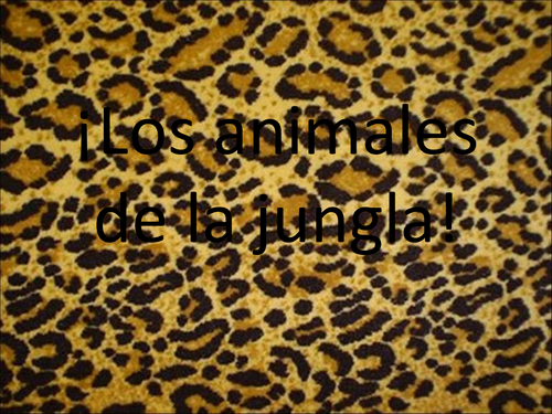 Jungle Animals