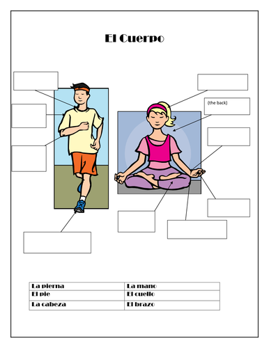 El cuerpo; la cara y la cabeza