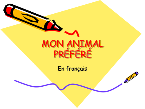 Pets and adjectival agreements in French