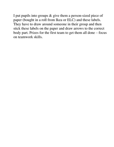 Group task - label lifesize pic with body parts