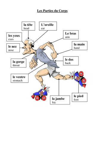 Body parts vocab sheet - labelled picture