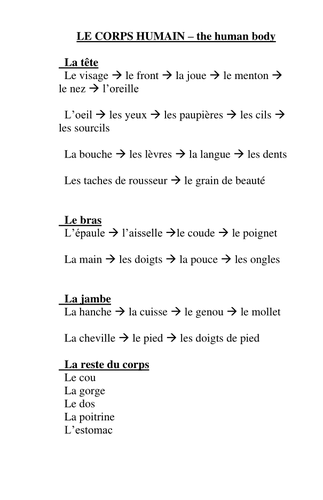 Body parts vocab sheet - just in French