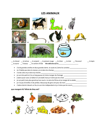 pets in French  les animaux