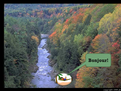 Le passé composé avoir avoir