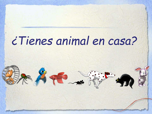 Tienes animales?