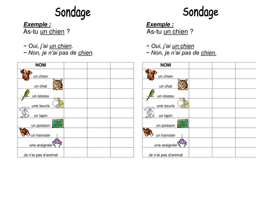 Sondage - As-tu un animal?