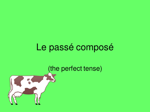 Introducing the perfect tense