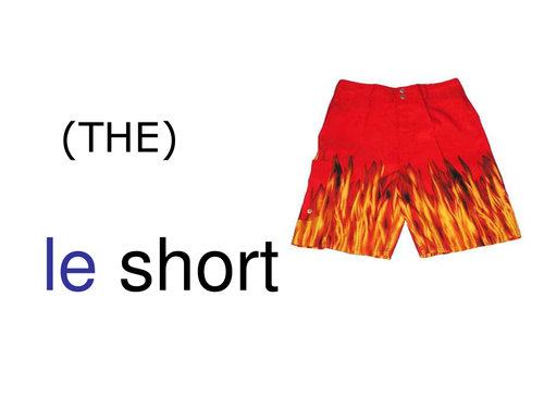 Use of THE; A & SOME in French (clothes vocab)