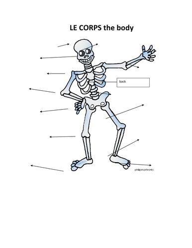 Test on the body and use of à