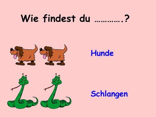 Wie findest du Haustiere?