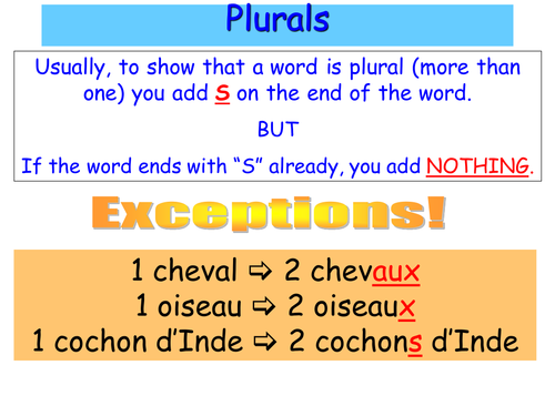 Work on plurals; using topic of animals