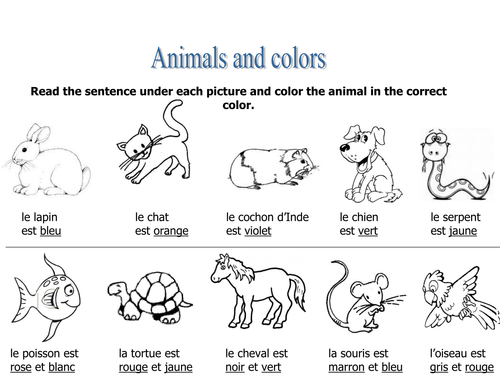 Animals & colors worksheet