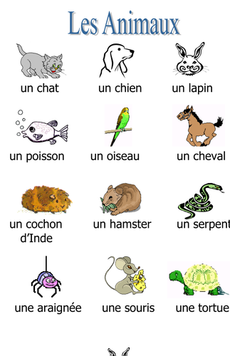 Animals vocab handout with pictures