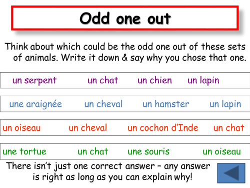 Thinking skills tasks on animal topic