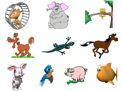 Touch the Picture game with animals & adjectives