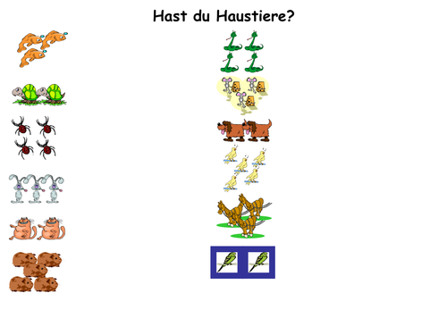 Haustiere - forming plurals and giving opinions