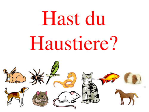 Haustiere