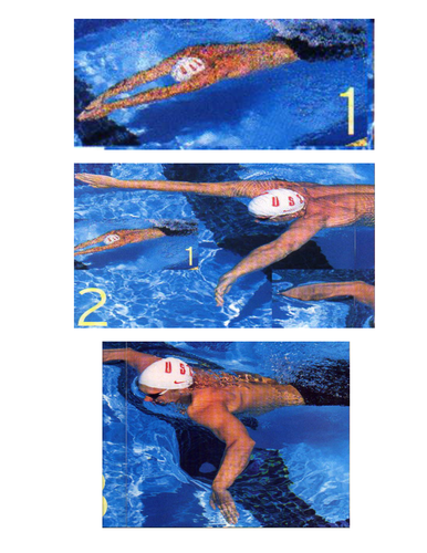 Swimming Middle level Reciprocal Cards