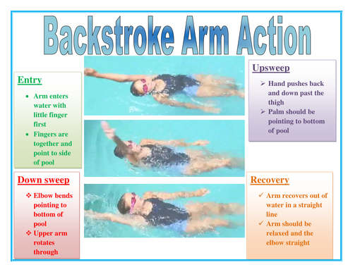 reciprocal teaching cards- Front/Back Crawl Swim