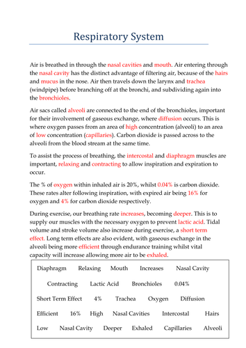 Fill in the blank format on Respiratory System | Teaching Resources