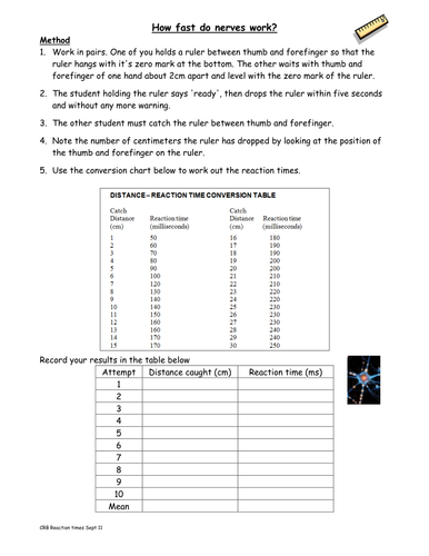 Testing reflexes practical handout