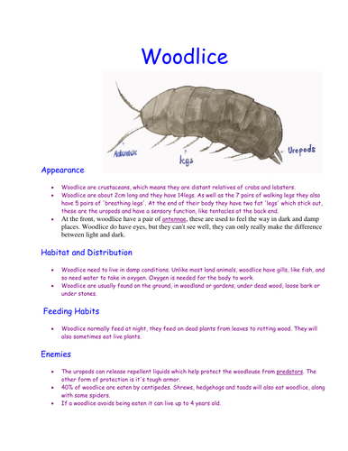 woodlice fact sheet
