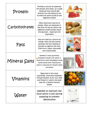 Diet Worksheet and Card Sort by TheScienceResourceBank - Teaching ...