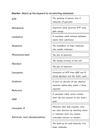 Respiration keywords match up