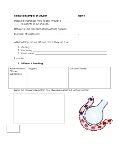 Diffusion & Biological Examples